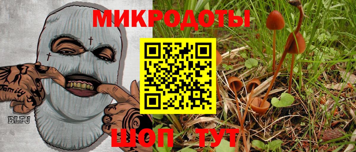 Галлюциногенные грибы прущие грибы  Вход с VPN  Галлюциногенные грибы мухоморы  Анапа 